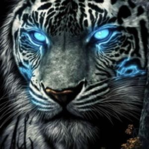 Meet your Posher, Harry